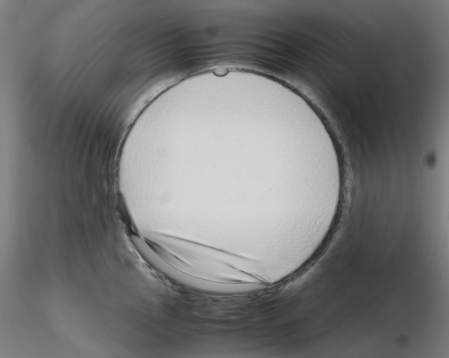 X0000115641145200912221305