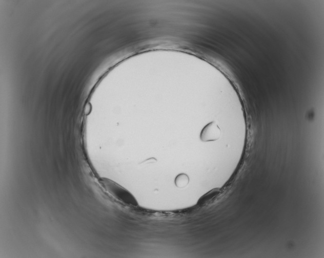 X0000115641146200912221305