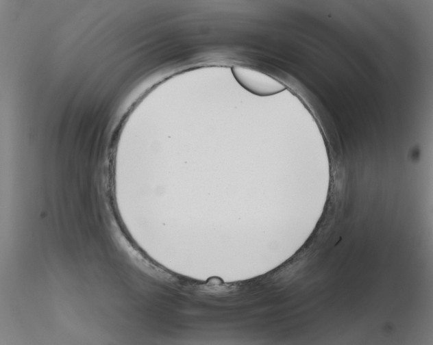 X0000115641147200912221305