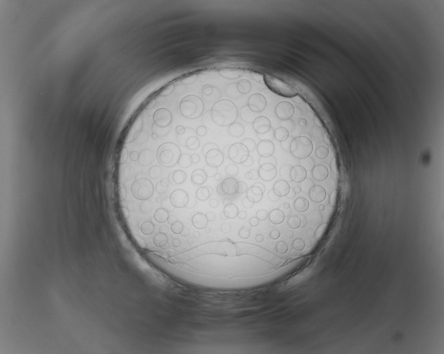 X0000115641149200912221305