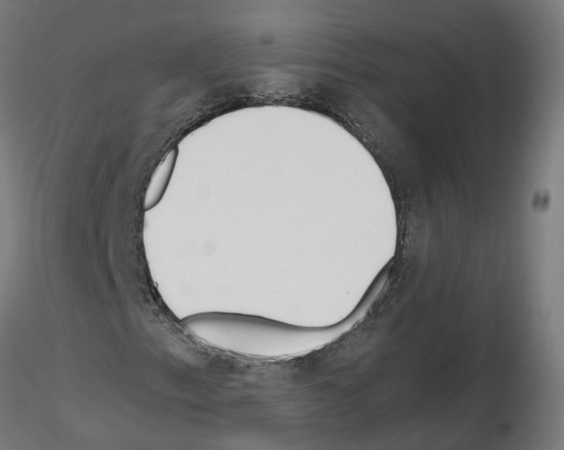X0000115641153200912221304