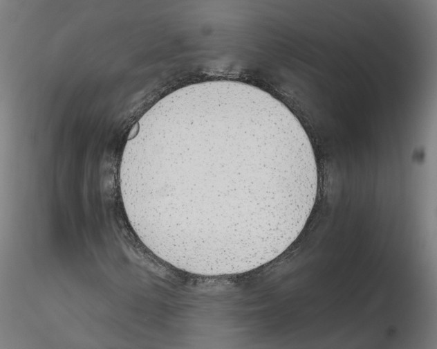 X0000115641154200912221304