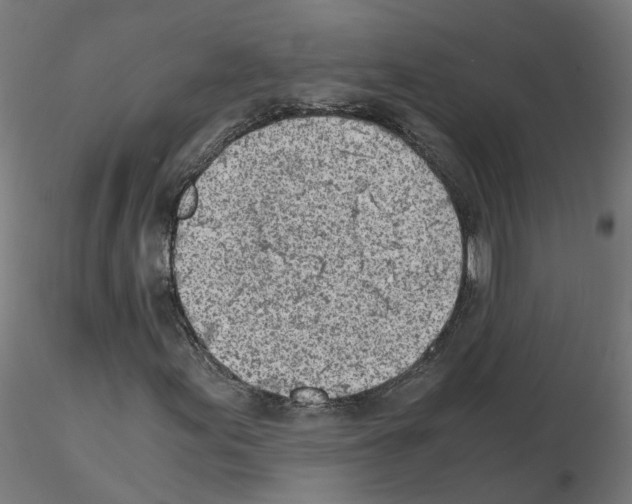 X0000115641155200912221304