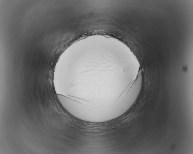 X0000115641156200912221304