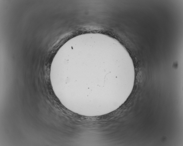 X0000115641157200912221304