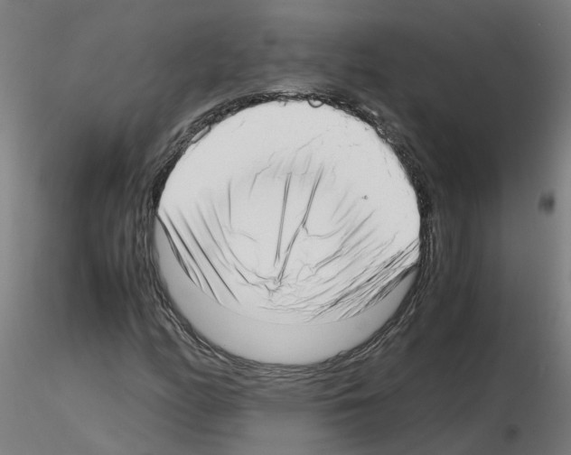 X0000115641158200912221304