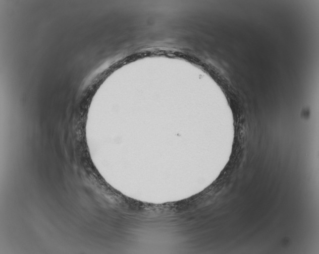 X0000115641159200912221304