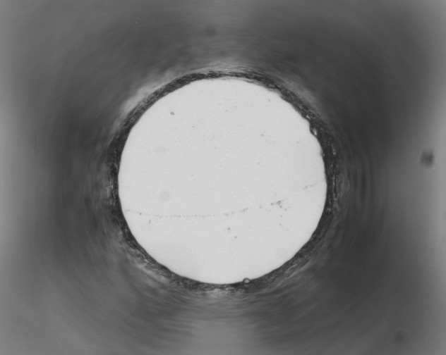 X0000115641160200912221304