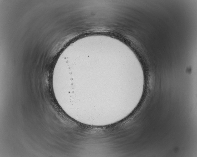 X0000115641161200912221304