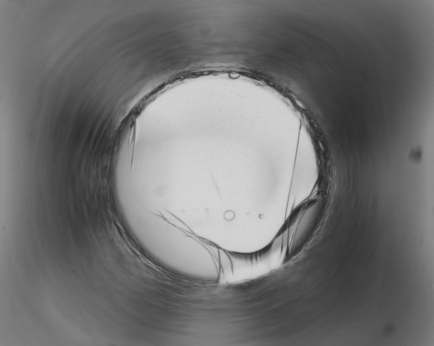X0000115641162200912221304