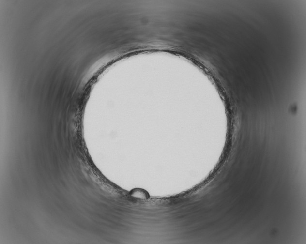 X0000115641163200912221304