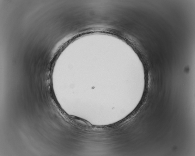 X0000115641164200912221304