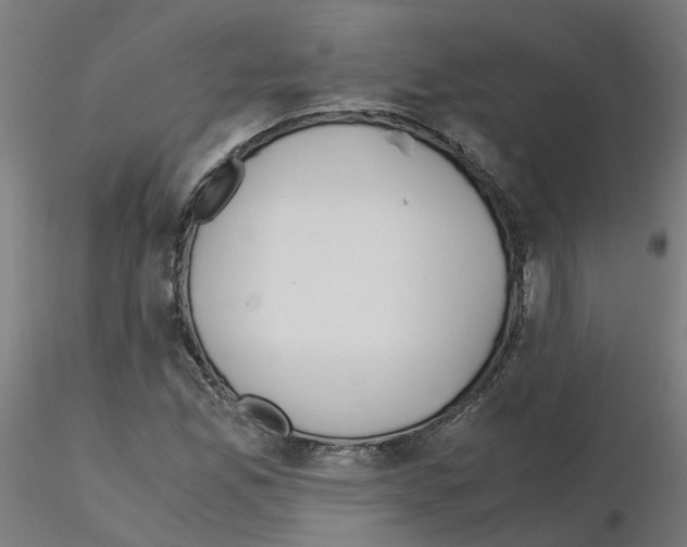 X0000115641165200912221304