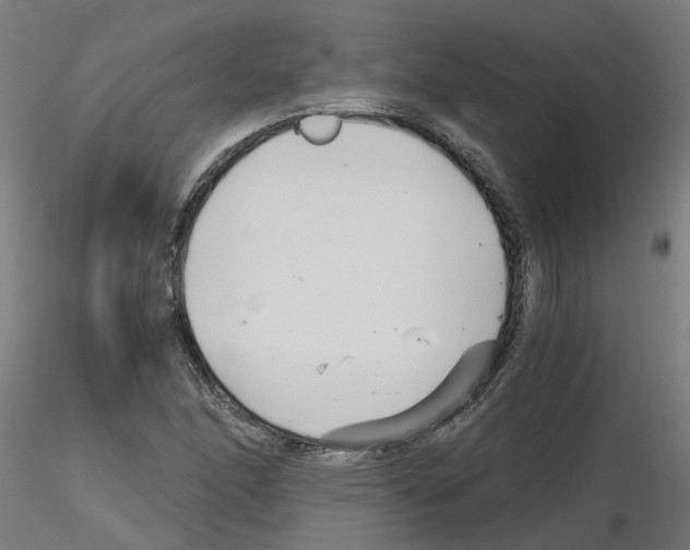 X0000115641166200912221304