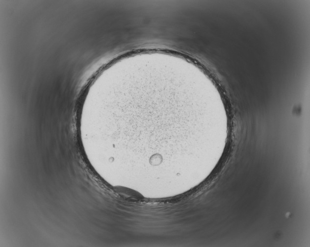 X0000115641167200912221304