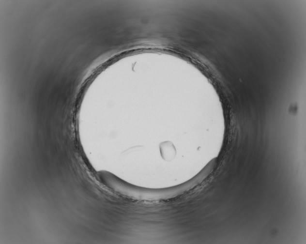 X0000115641168200912221304