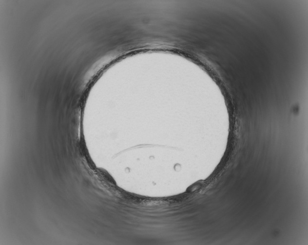 X0000115641171200912221304