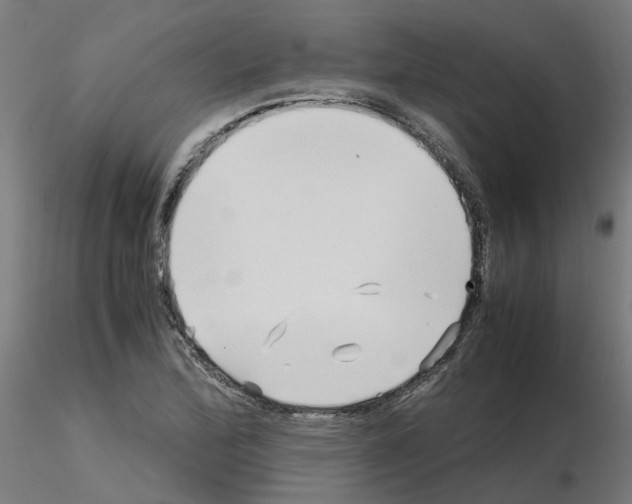 X0000115641172200912221304