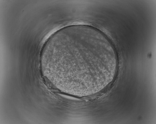 X0000115641173200912221304