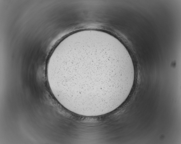 X0000115641174200912221304