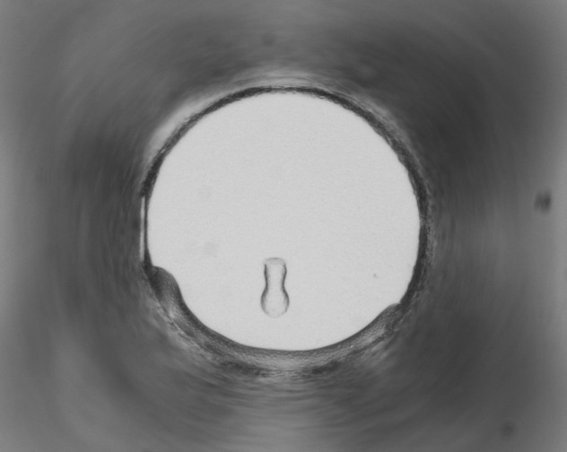 X0000115641175200912221304