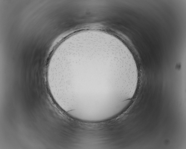 X0000115641176200912221304