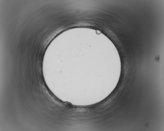 X0000115641177200912221304