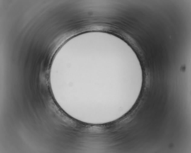 X0000115641178200912221304
