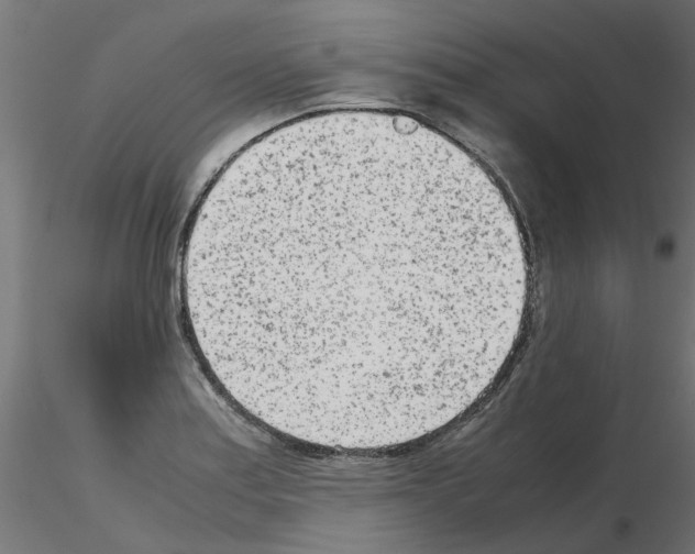 X0000115641179200912221304