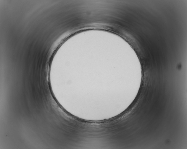 X0000115641180200912221304