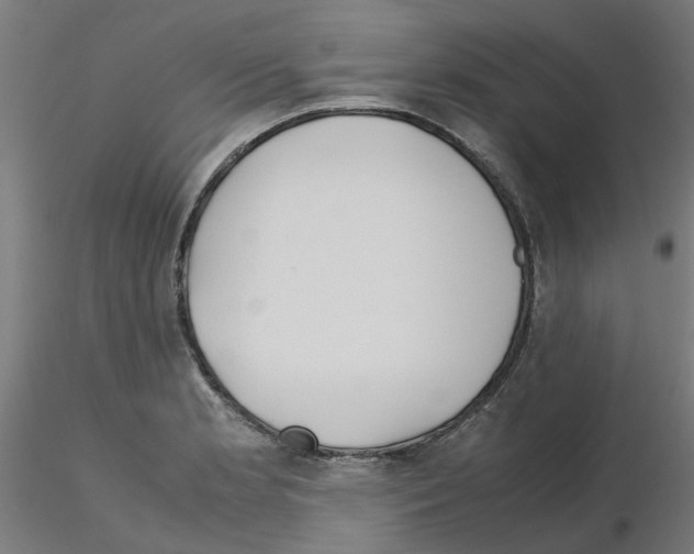 X0000115641181200912221304