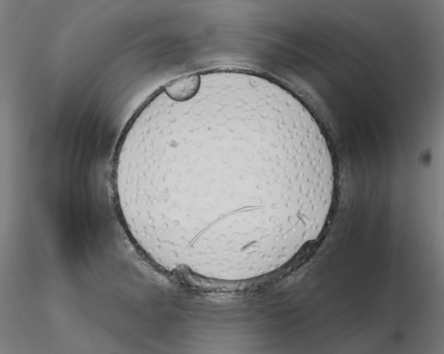 X0000115641182200912221304