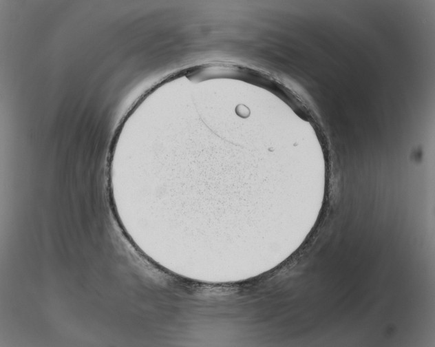 X0000115641183200912221304