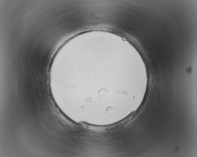 X0000115641184200912221304