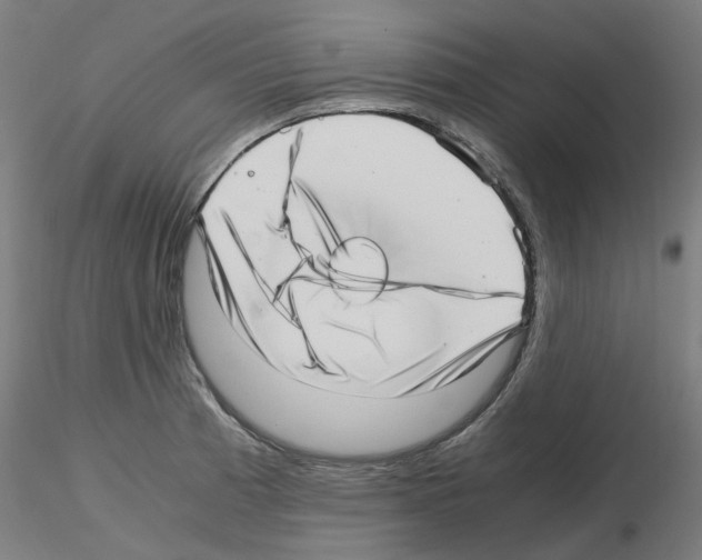 X0000115641185200912221304
