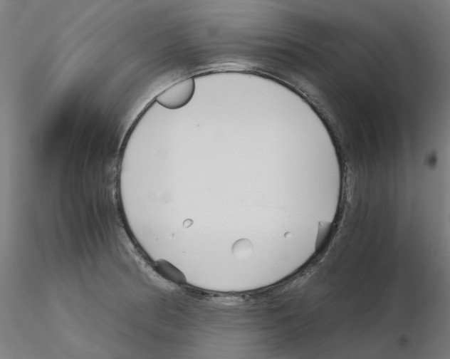 X0000115641186200912221304