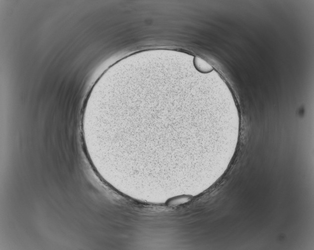 X0000115641187200912221304