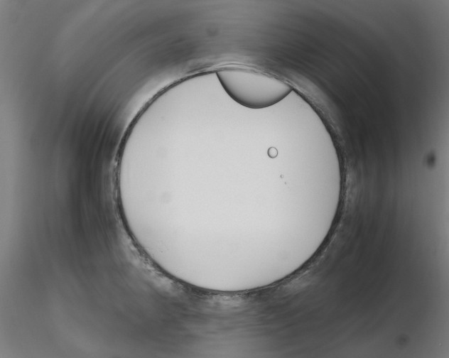 X0000115641190200912221304