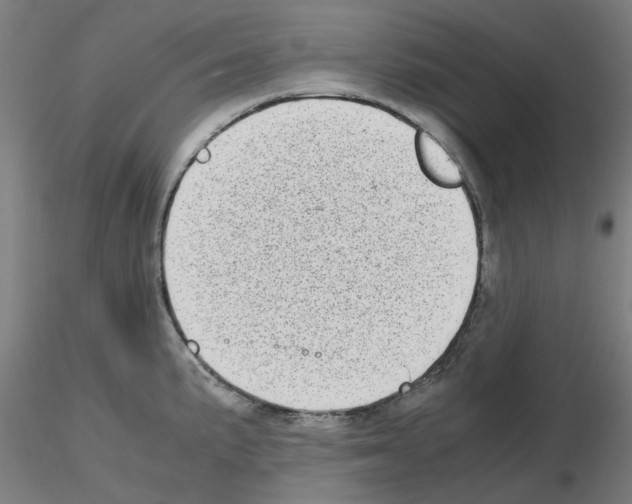 X0000115641191200912221303