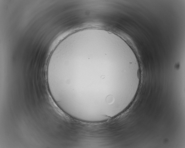 X0000115641192200912221303