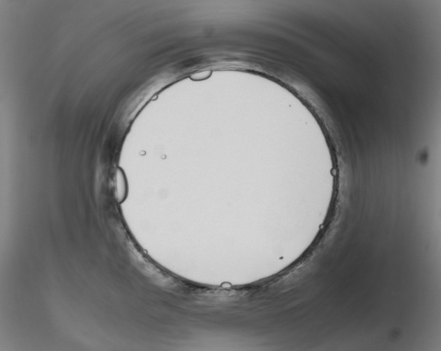 X0000115641193200912221303