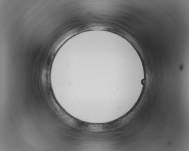X0000115641194200912221303