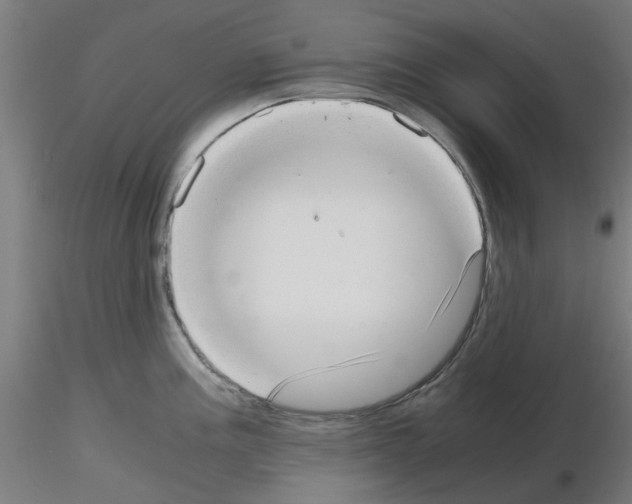 X0000115641195200912221303