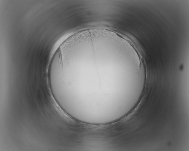 X0000115641196200912221303
