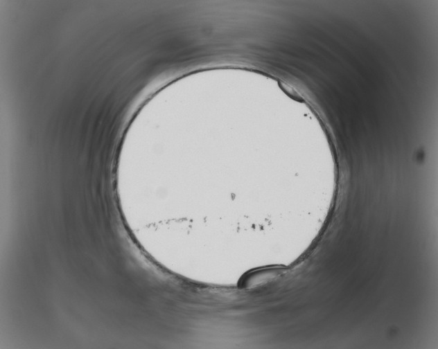 X0000115641197200912221303