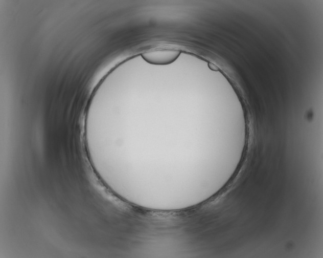 X0000115641198200912221303