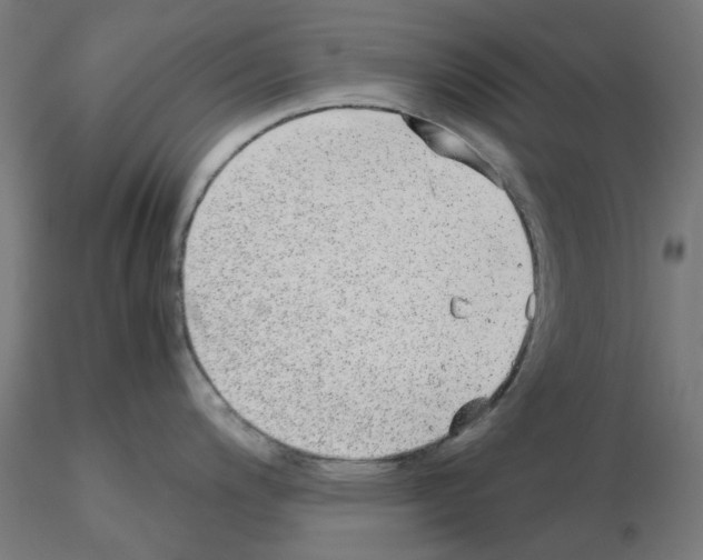 X0000115641200200912221303