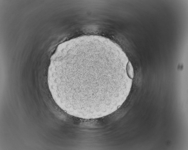 X0000115641201200912221303