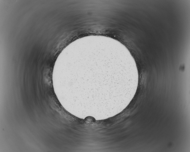 X0000115641202200912221303