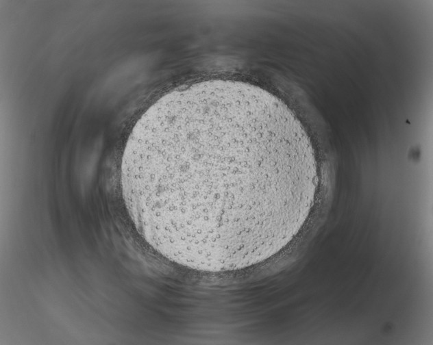 X0000115641203200912221303